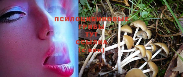 прущие крисы Майский