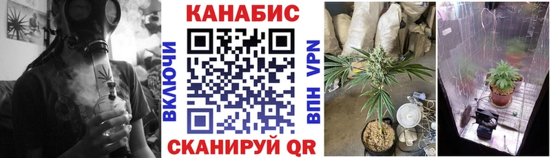 Купить  Инза  Каннабис THC 21% 